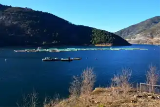 Artvin'de Balık Üretimi Hedefi 60 Bin Ton