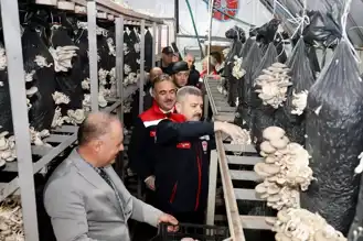 Doğu Karadeniz'de Mantar Üretimi Gelişiyor