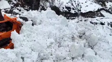 Doğu Karadeniz'de Çığ Ulaşımı Kapatı