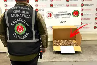 Sarp Gümrük'te 655 Milyonluk Kaplumbağa Operasyonu!