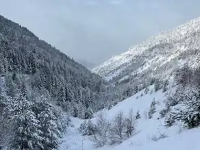 Doğu Karadeniz'de Yollar Kapandı, Eğitim Durdu!