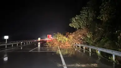 Doğu Karadeniz'de Heyelan: Sahil Yolu Kapandı