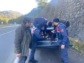 Yaralı Hayvan Kurtarıldı