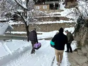 Kar Kapanında Kalan Kediler Kurtarıldı