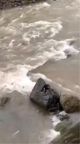Dereye Düşen Köpek Vatandaşlar Tarafından Kurtarıldı